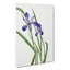 Iris by Mary Vaux Walcott - Wrapped Canvas-61854307