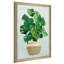 Palmier tissé I - Peinture-1966334163-1966334160
