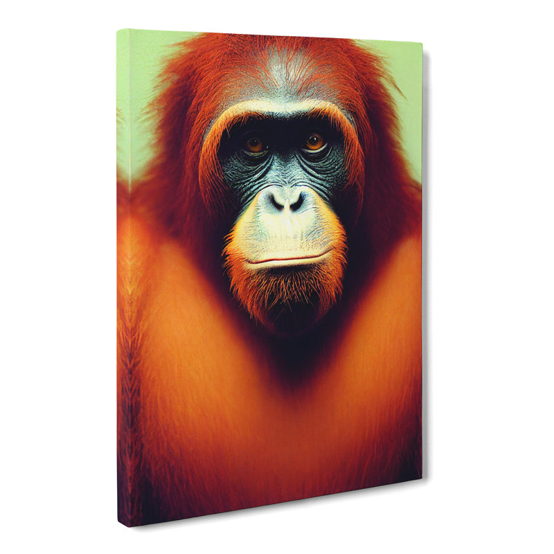 Orangutan Portrait Vol.3 - Wrapped Canvas, 50cm H x 35cm W x 3cm D