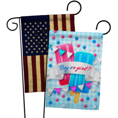 Double Sided 18.5'' H x 13'' W Polyester New Baby Garden Flag