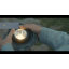 Projecteur basse tension