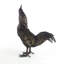 Fighting Rooster