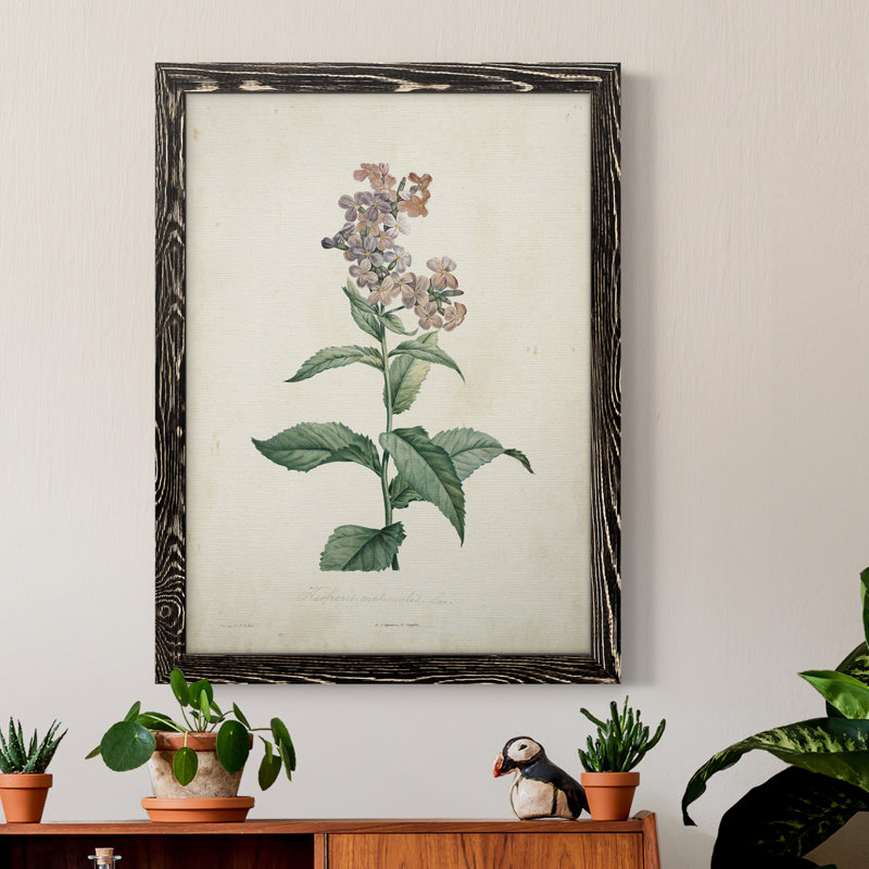 Toile encadrée de qualité supérieure Traditional Botanical II - prête à être accrochée, Noir, H 38 po x l 28 po x P 1 po