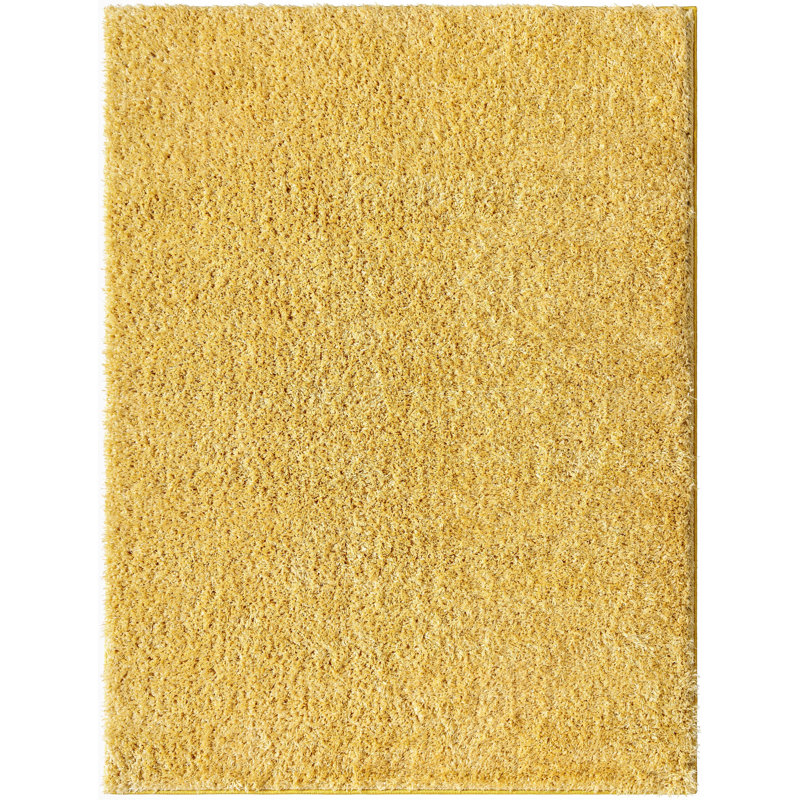 Brandale Solid Shag Orange Area Rug, Rectangle 9'3" x 12'