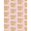 Coral-749920575