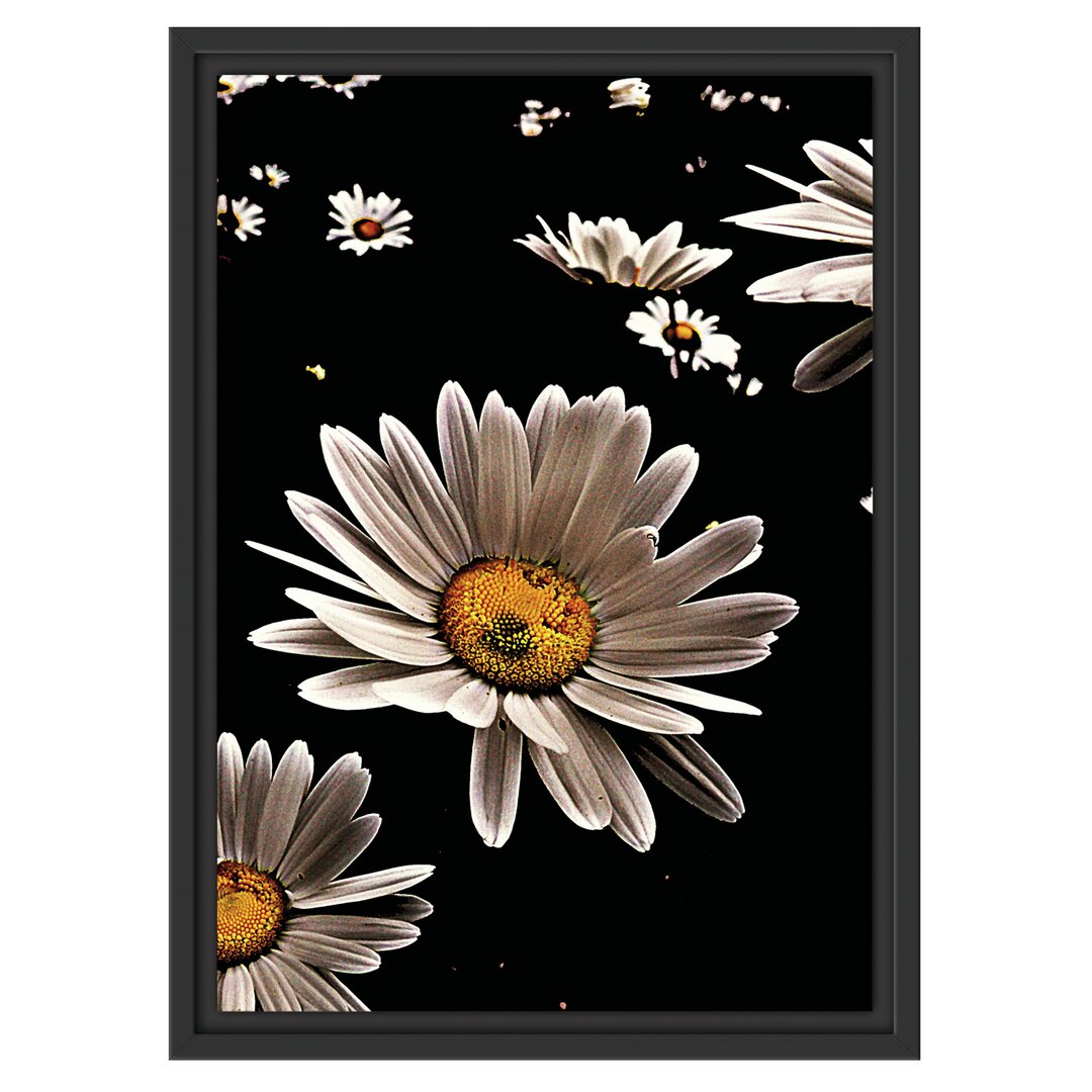 Gerahmtes Wandbild Dark Margeriten Blüten