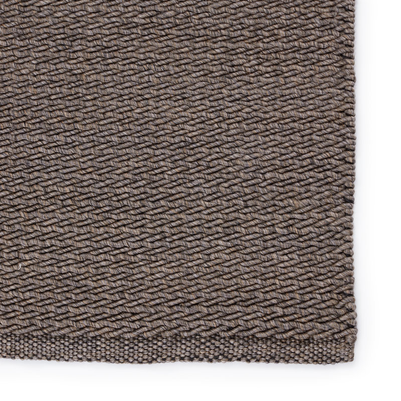 Tapis intérieur / extérieur brun tissé à la main Ashita, Rectangle 4 pi x 6 pi