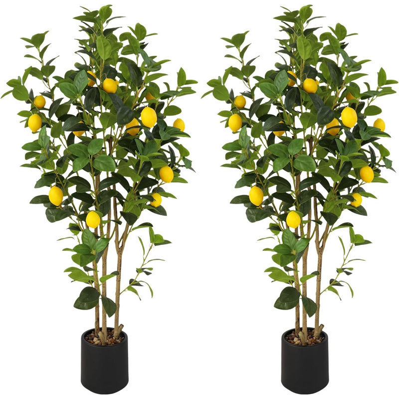 121.9cm Faux Lemon Plant, Black