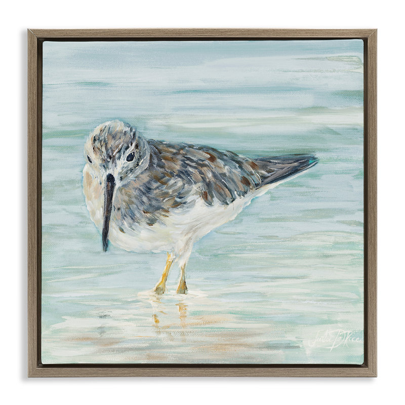 «Sandpiper in Shallow Beach Waters» par Julie DeRice, Cadre flottant orme Montalcino, H 18 po x l 18 po