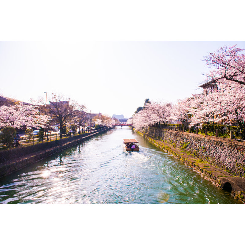 Chappaqua Cherry Blossoms - Wrapped Canvas Print, 51cm H x 76cm W x 3.8cm D