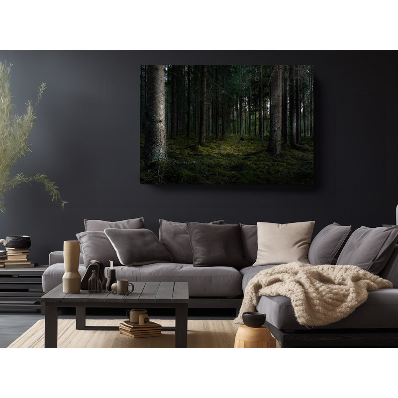 Forêt avec grands arbres verts, décoration intérieure - impression sur toile, H 24 po x l 36 po