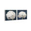 Oliver Gal Pretty View Set Floral and Botanical - Framed Canvas Art-763292473-763291846