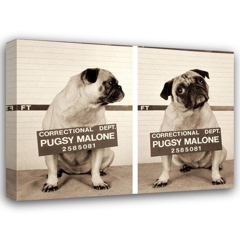 Pugsy Malone, 18" H x 24" W