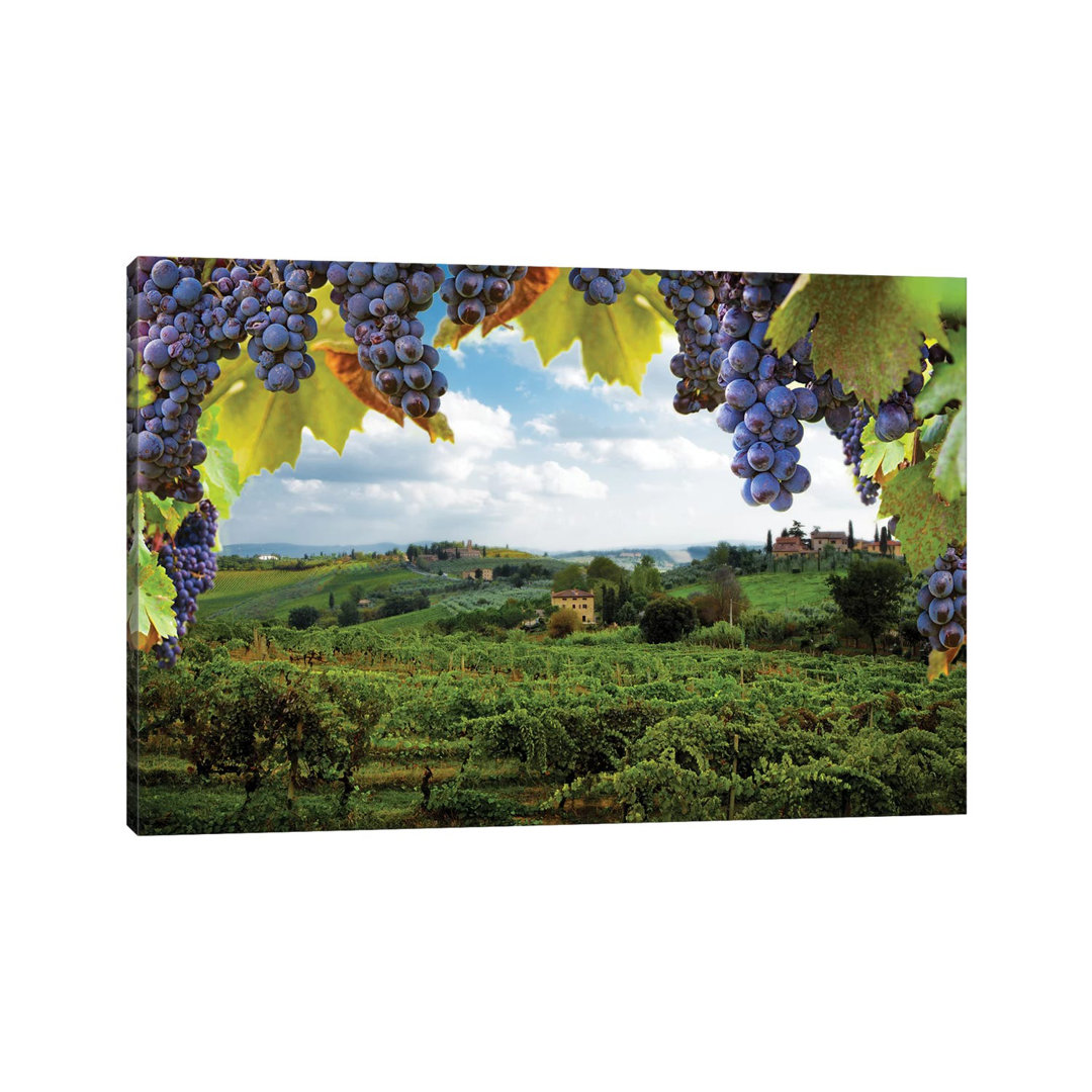 Vineyards In San Gimignano Italy by Susan Schmitz - Print on Canvas