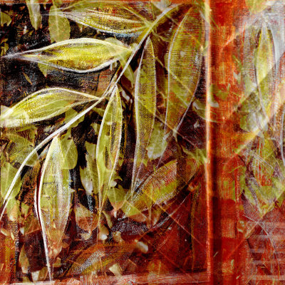 Fillmore I by Danielle Harrington - Wrapped Canvas Painting