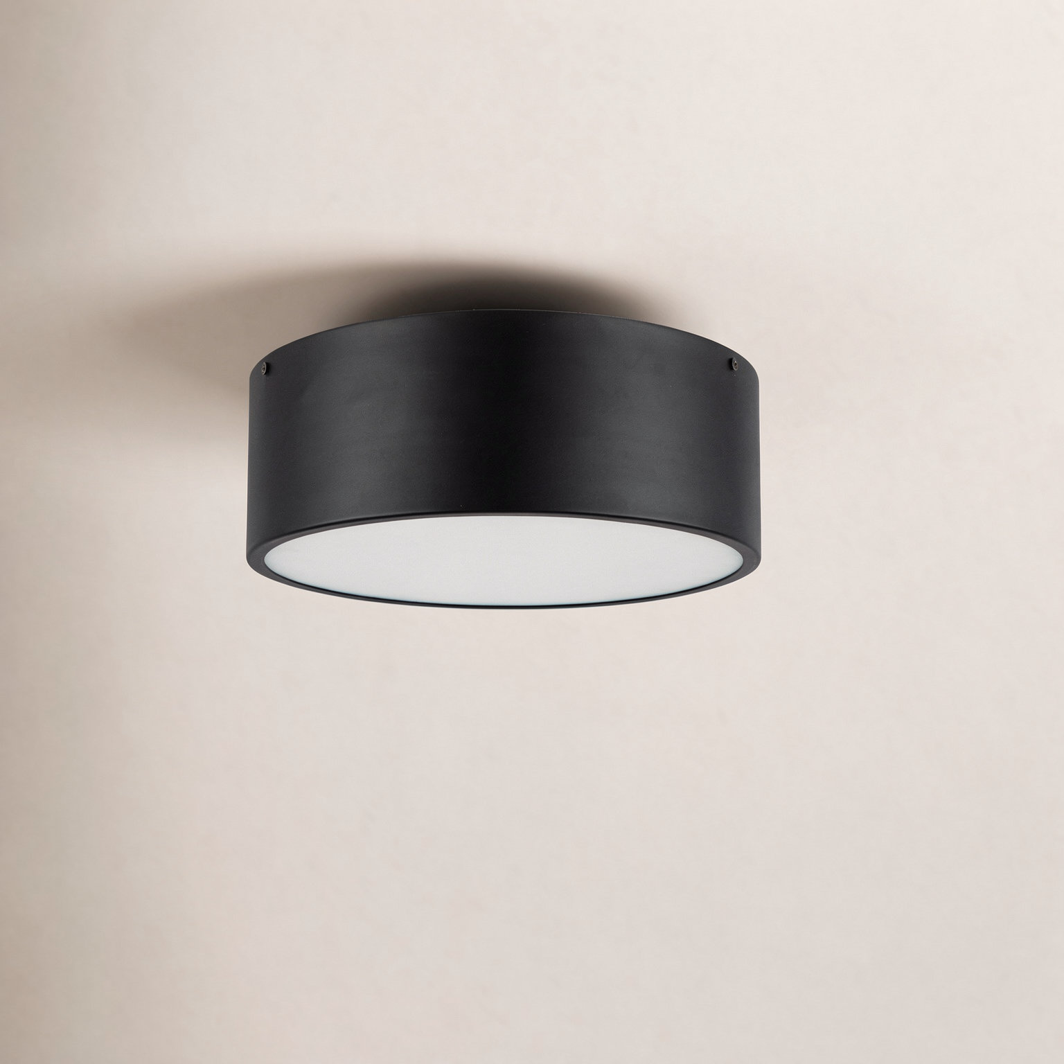 Mossy 2-Light Drum Flush Mount, Matte Black
