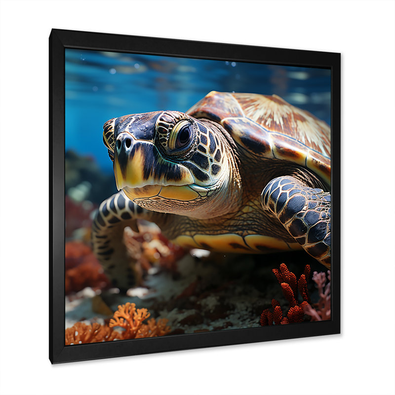 Curieuse tortue de mer sous l'eau, H 16 po x l 16 po x P 1 po, Cadre simple noir