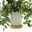 Nugent Faux Tradescantia Plant in Ceramic Vase