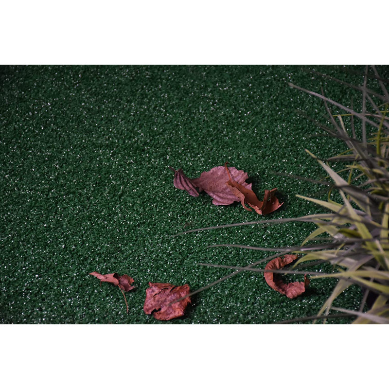 Dheftera Washable Indoor Rug, Round 2'