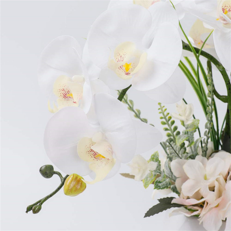 Roudy Arrangement, White