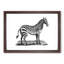 Zebra in Black & White by George Shaw - Picture Frame Drawing Print-55641220-55641225