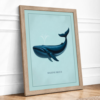Baleen Whale Modern - Framed Print