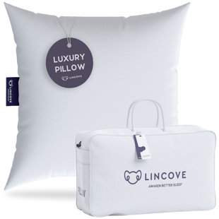 Oreiller en duvet de lin Euro - capacité de remplissage 625, densité de tissage 500 - coquille 100% coton