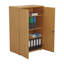 Buariki 2 -Door Storage Cabinet-16413411