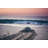 Arndt Turtle Heading to Ocean - Wrapped Canvas Photograph-1345110153