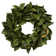 Magnolia Leaf Wreath