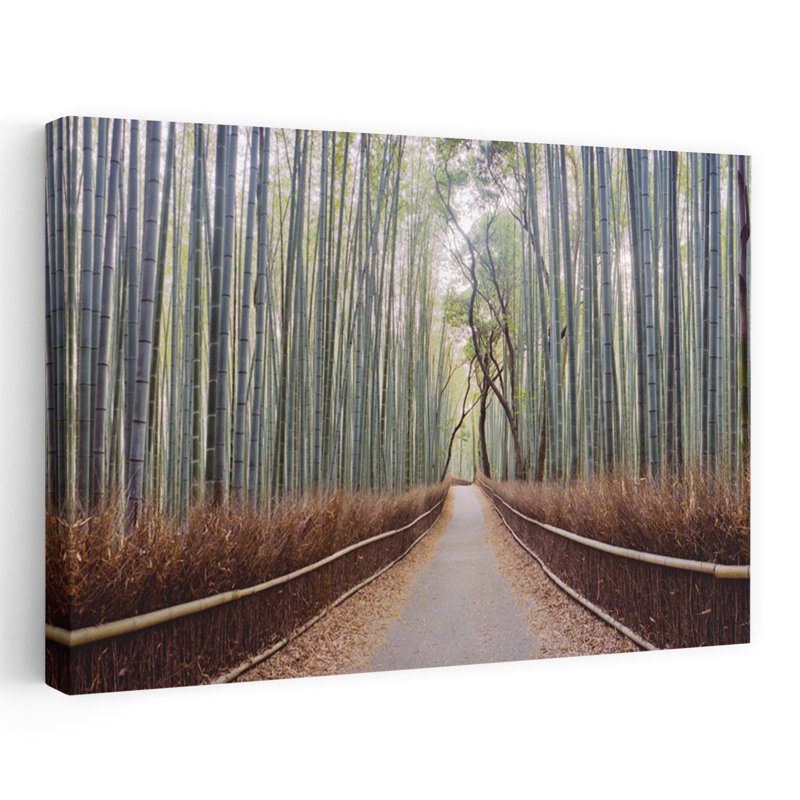 Bambous dans une forêt, Arashiyama, préfet de Kyoto, Japon, forêt contemporaine, art abstrait, H 24 po x l 36 po