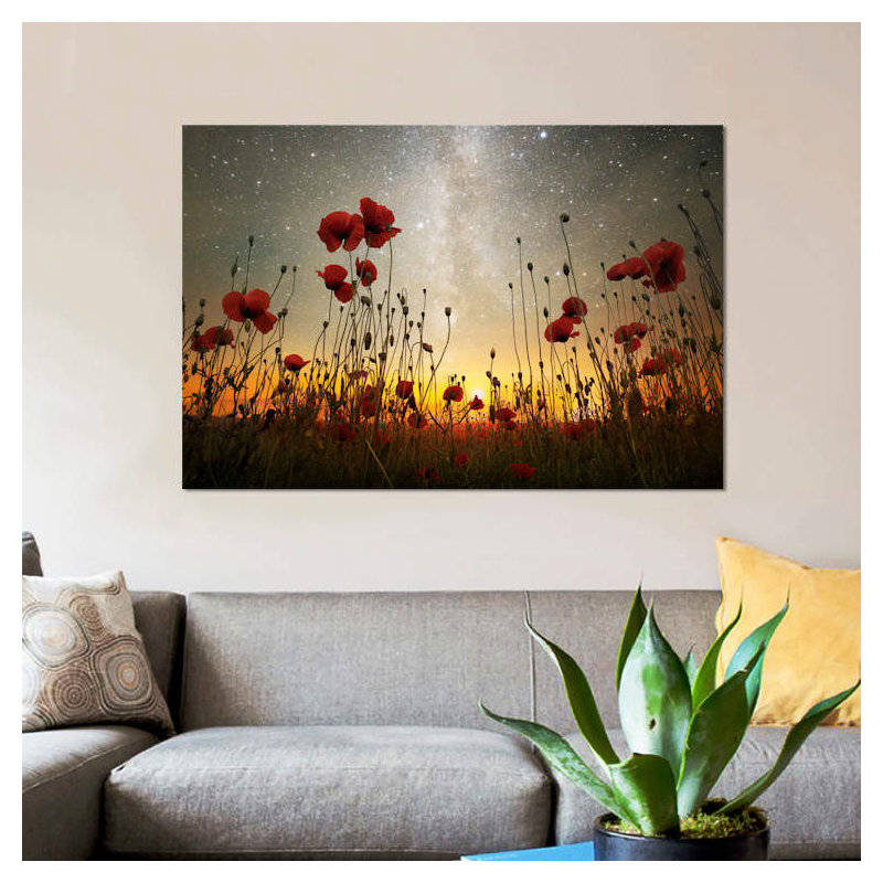 Adrian Borda - Wrapped Canvas Print, 66.04 cm H x 45.72 cm W x 1.91 cm D