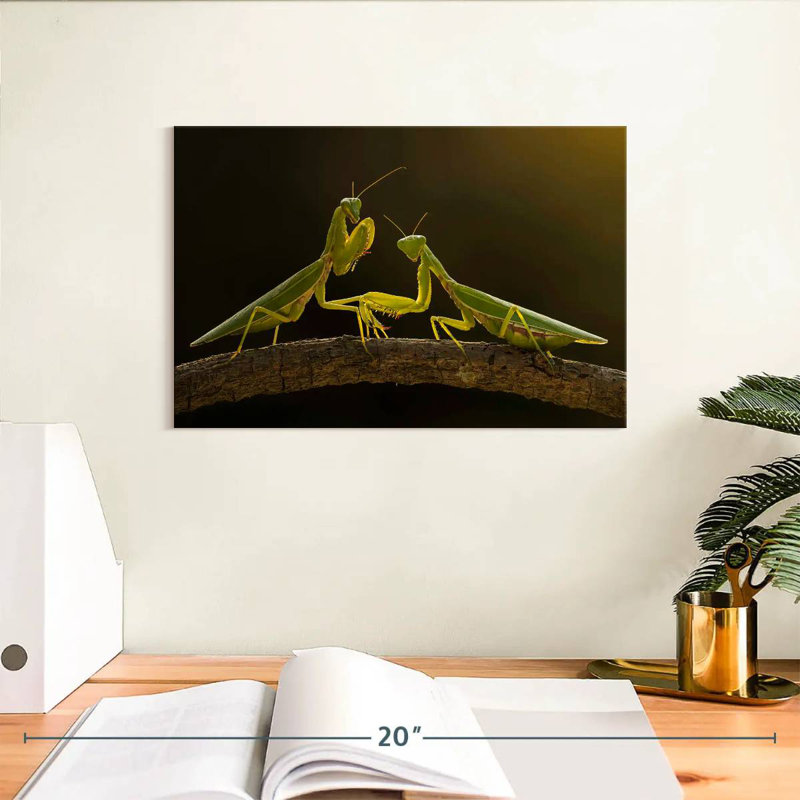 Brampt Praying Mantis Duo, 8" H x 12" W