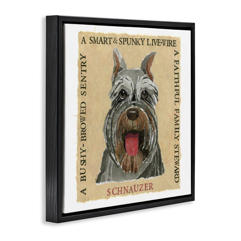 "Fun Schnauzer Pet", art mural encadré flottant par Nancy Overton, H 18 po x l 18 po, Cadre flottant noir de jais