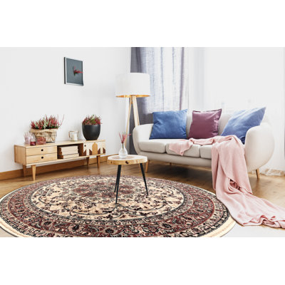 Dhrampla Oriental Wool Area Rug