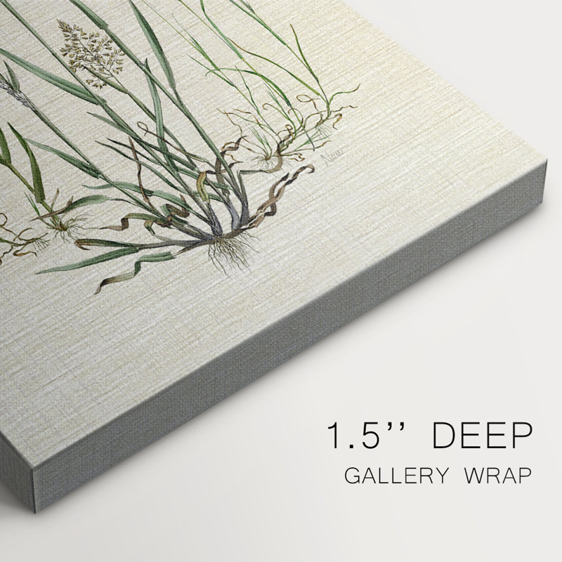 Lin Herbes I -Galerie enveloppée Cavas, H 18 po x l 12 po