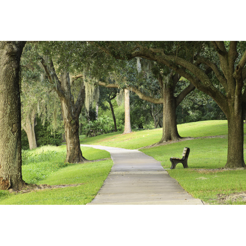 Peaceful park bench, 51cm H x 76cm W