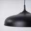 1 - Light Stainless Steel Pendant-415091054