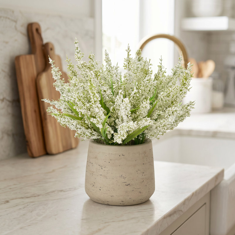 Ferdinand Heather en pot, Blanc doux