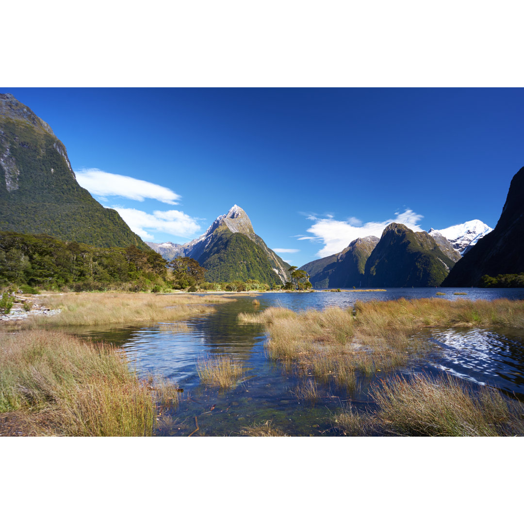 Milford Sound, Fiordland National Park von Simonbradfield - Druck