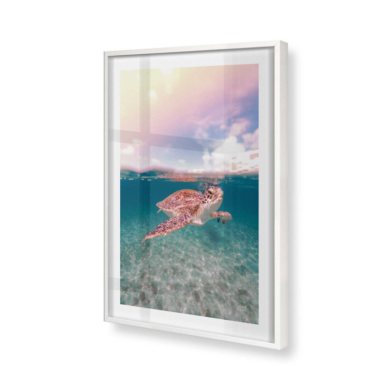 Imprimé Serene Sea Turtles , H 21 po x l 17 po, Blanc, Reproduction encadrée avec passe-partout