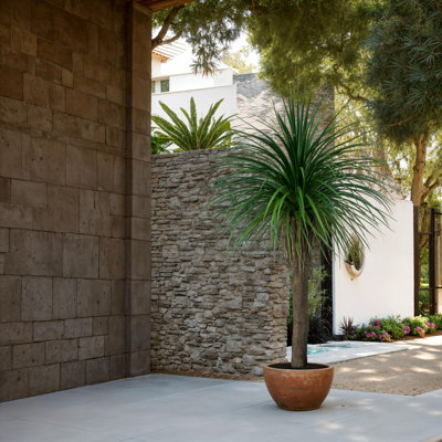 Yucca artificiel vert 62 po en pot
