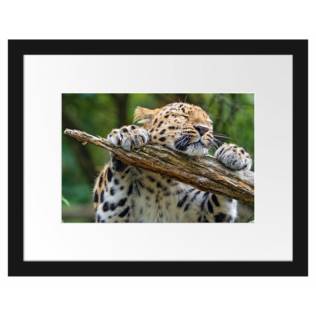 Gerahmtes Poster Verspielter Leopard