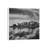 Steller's Sea Lions, Alaska by Tim Fitzharris - Gallery-Wrapped Canvas Giclée on Canvas-1409753707-1409753711