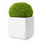 Pot à fleurs Kute Nest intérieur / extérieur H18 "Cubo Fiberstone - blanc Santorini - ouverture de pot 15"-1359979201-1359979202