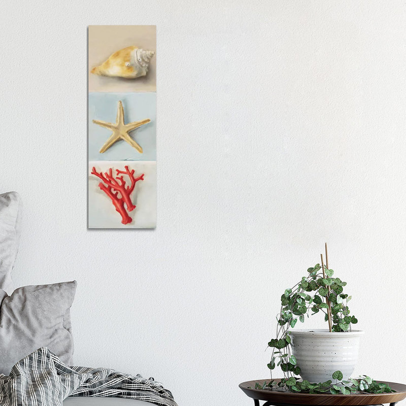 Shell Selection II by Milieu Du Ciel - Wrapped Canvas Panoramic Print, 30.48 cm H x 91.44 cm W x 1.91 cm D