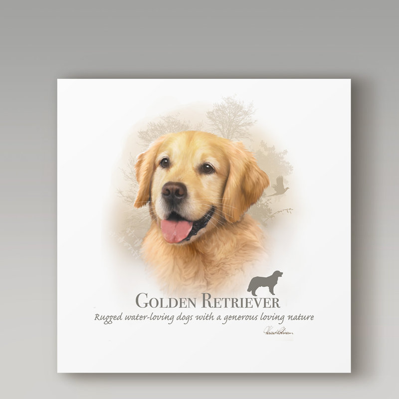 Golden retriever-reproduction sur toile tendue, H 24 po x l 24 po x P 2 po