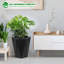 Planter-535990839