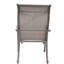Chaises de salle à manger d'extérieur toutes saisons en toile, ensemble de 2