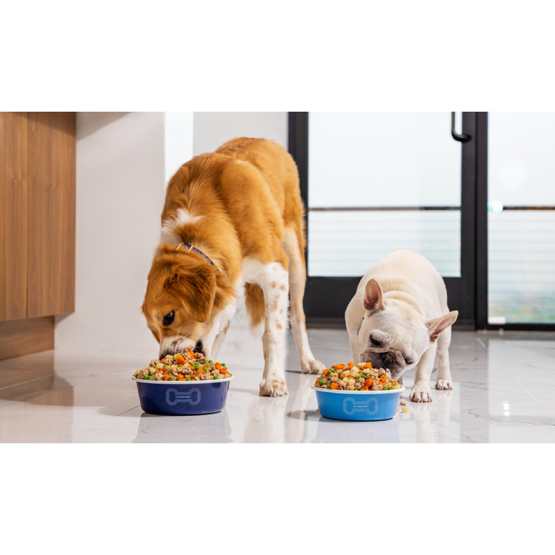 Pet Dog Bowl, Carmin, Large (6 cups)